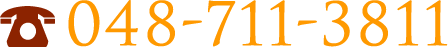 048-711-3811